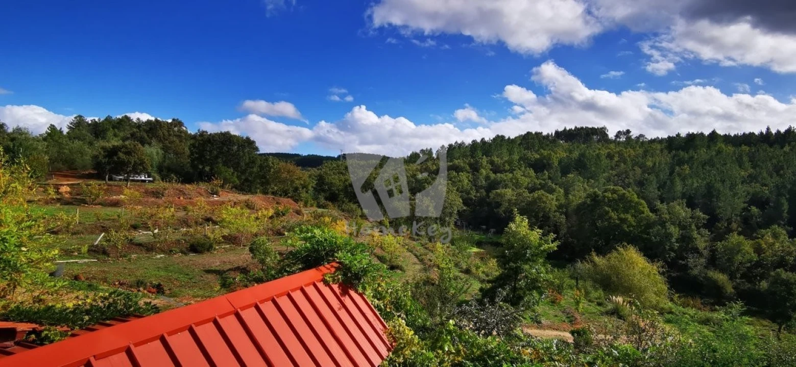 Quinta T5 para Venda em Fatela Foto 16