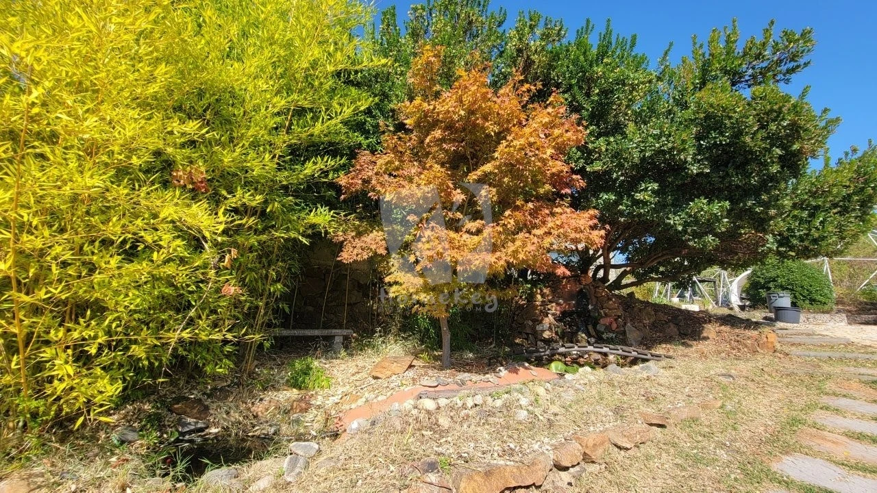 Quinta T5 para Venda em Fatela Foto 48