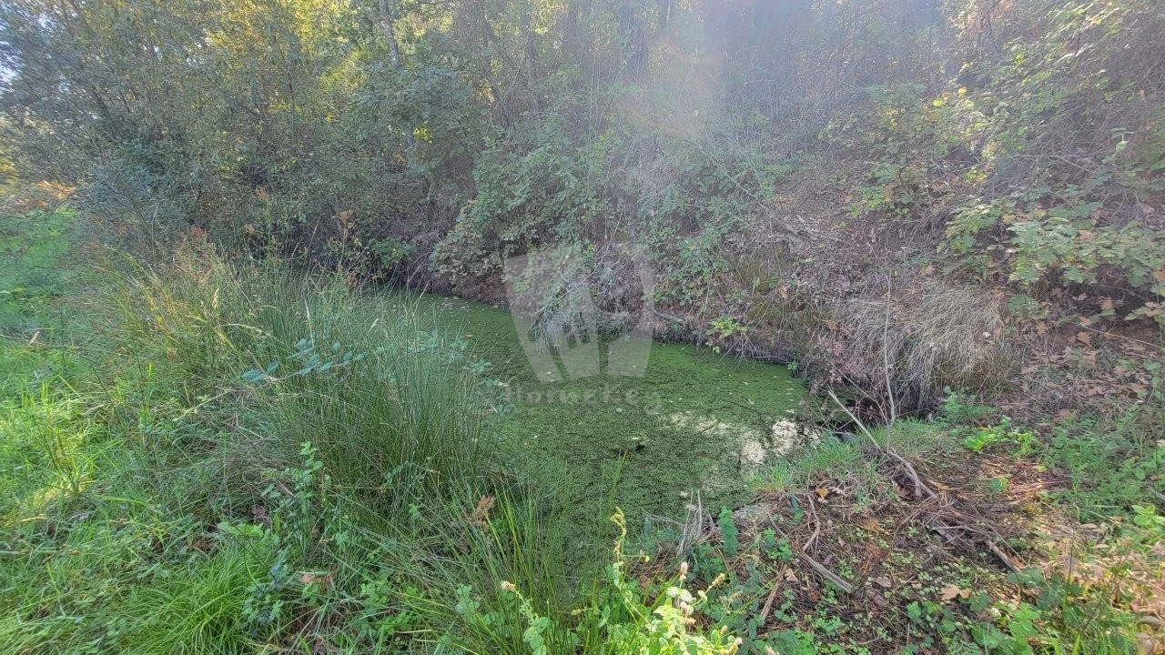 Quinta T5 para Venda em Fatela Foto 54