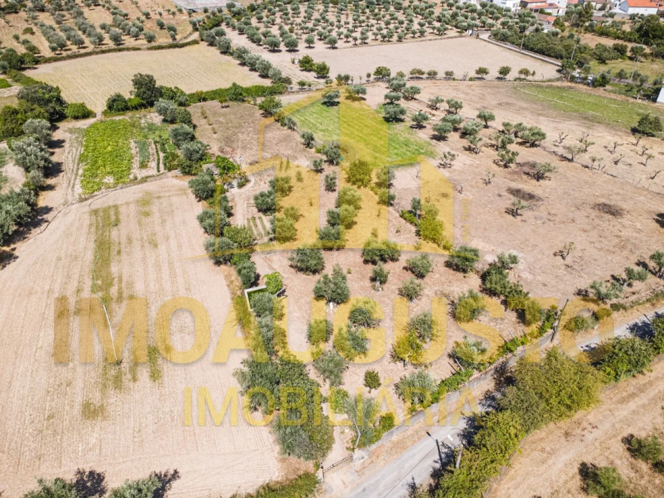 Terreno para Venda em Minhocal Foto 7