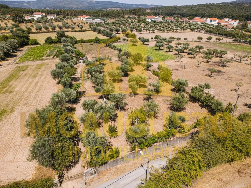 Terreno para Venda em Minhocal Foto 8