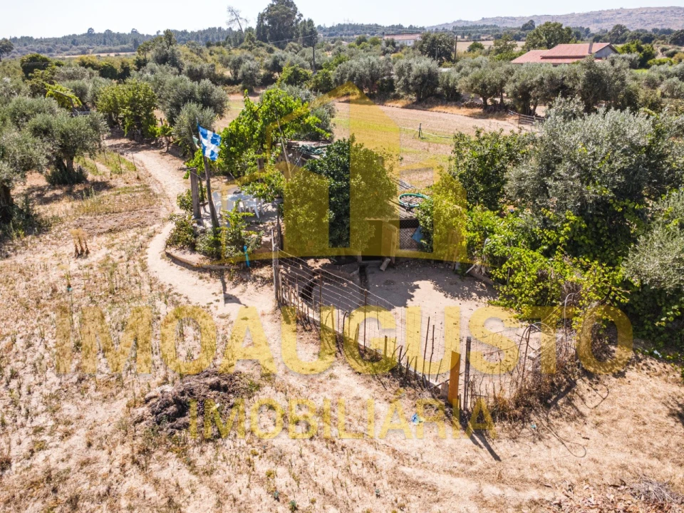 Terreno para Venda em Minhocal Foto 11
