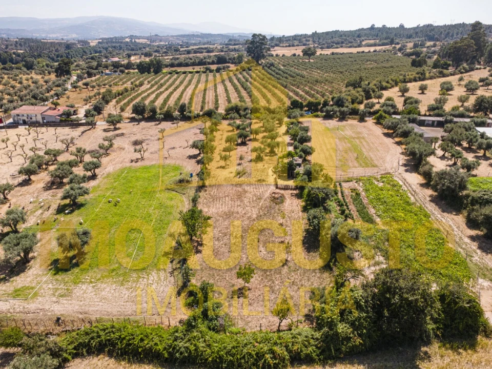 Terreno para Venda em Minhocal Foto 12