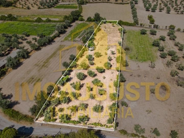 Terreno para Venda em Minhocal