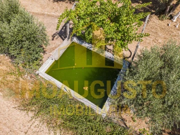 Terreno para Venda em Minhocal