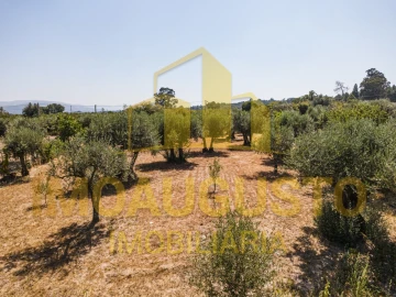Terreno para Venda em Minhocal