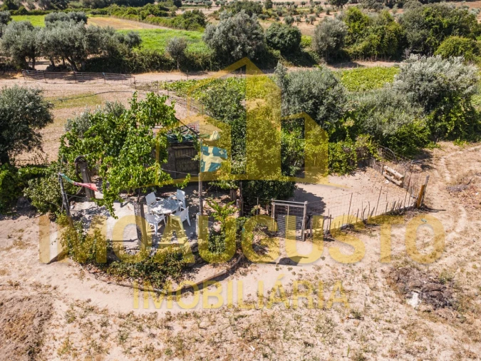 Terreno para Venda em Minhocal Foto 3