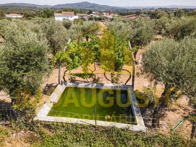 Terreno para Venda em Minhocal Foto 5
