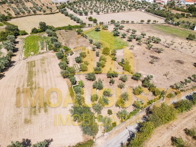 Terreno para Venda em Minhocal Foto 7
