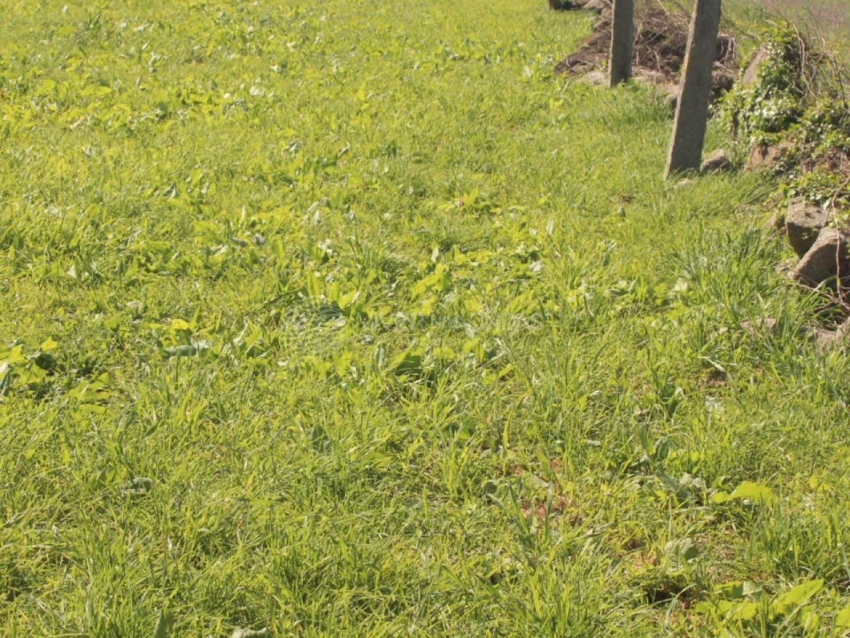 Terreno para Venda em Nogueira e Silva Escura Foto 9