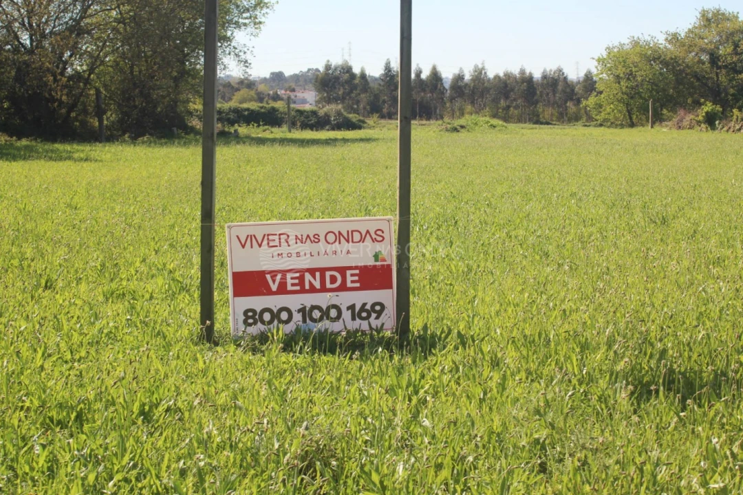 Terreno para Venda em Nogueira e Silva Escura Foto 15