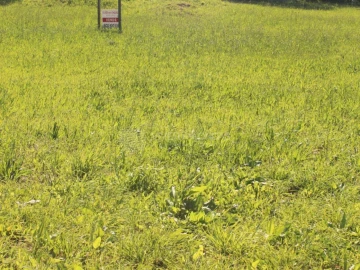Terreno para Venda em Nogueira e Silva Escura