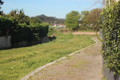 Terreno para Venda em Nogueira e Silva Escura