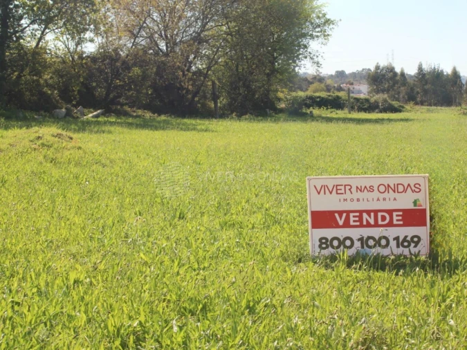 Terreno para Venda em Nogueira e Silva Escura Foto 8