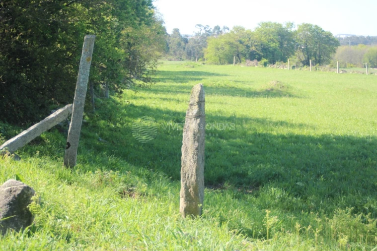 Terreno para Venda em Nogueira e Silva Escura Foto 10