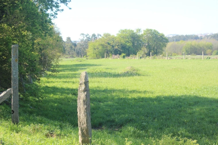 Terreno para Venda em Nogueira e Silva Escura Foto 11