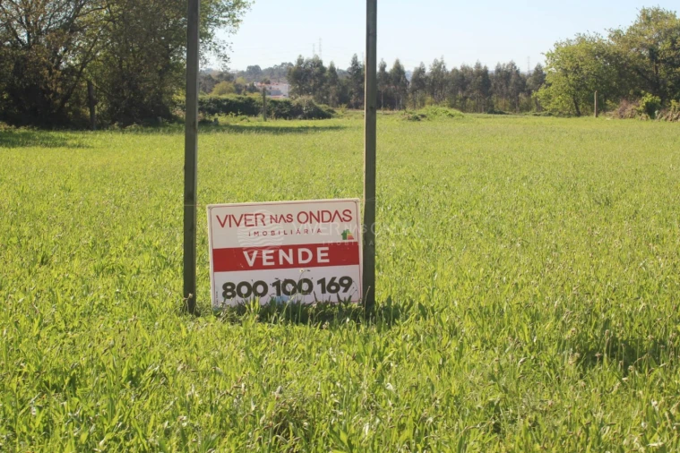 Terreno para Venda em Nogueira e Silva Escura Foto 15