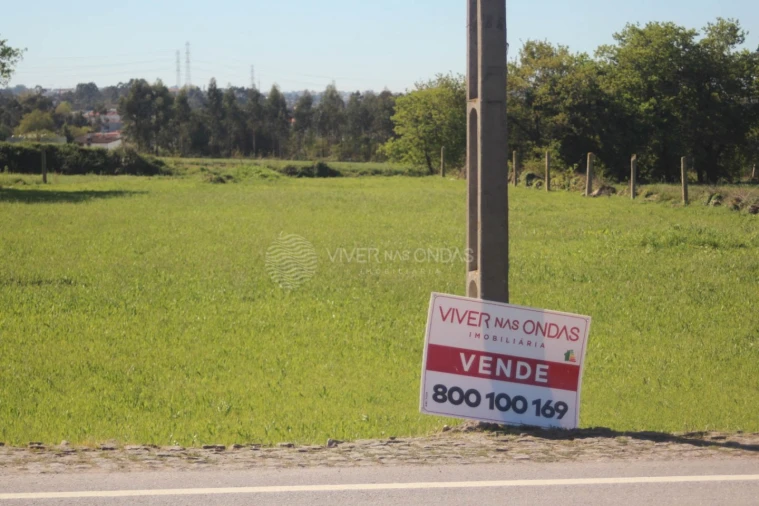 Terreno para Venda em Nogueira e Silva Escura Foto 2
