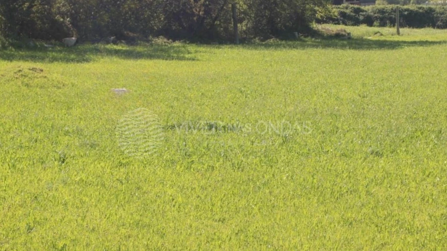 Terreno para Venda em Nogueira e Silva Escura