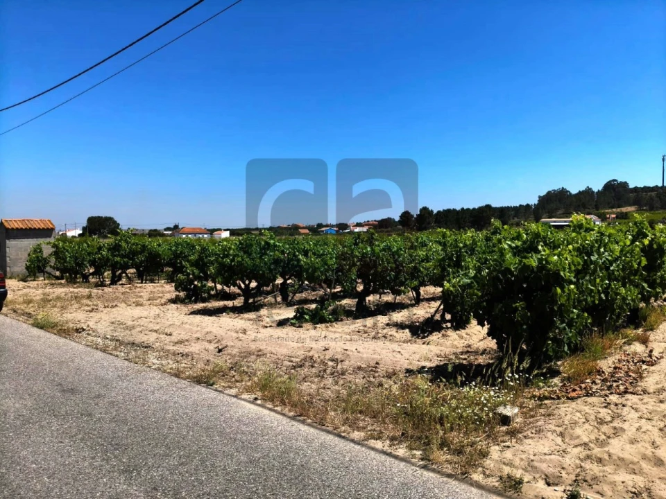 Terreno para Venda em Fazendas de Almeirim Foto 6