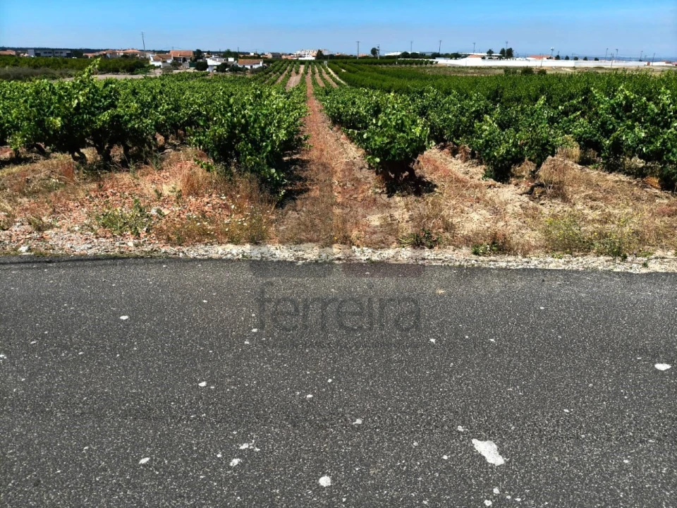 Terreno para Venda em Fazendas de Almeirim Foto 7