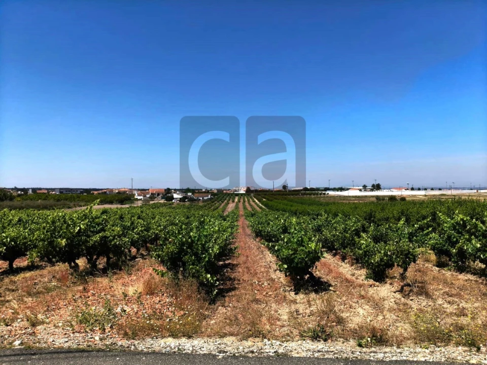 Terreno para Venda em Fazendas de Almeirim Foto 9
