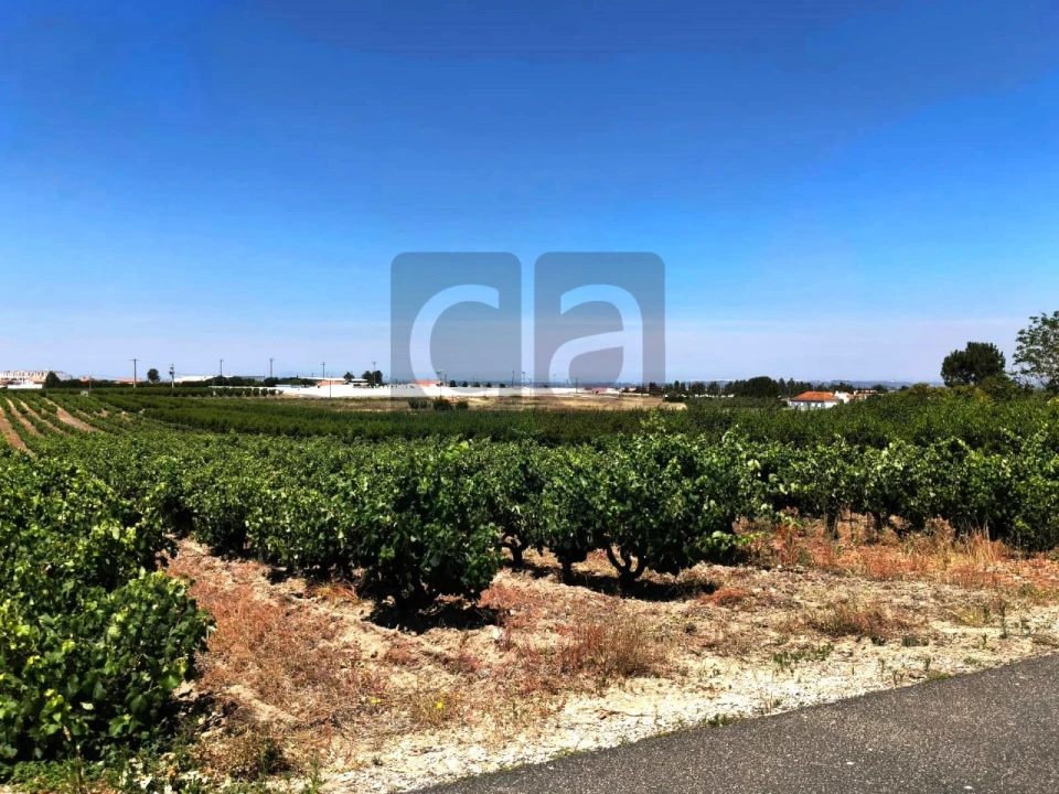 Terreno para Venda em Fazendas de Almeirim Foto 10