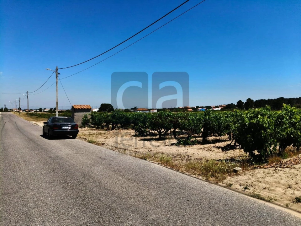 Terreno para Venda em Fazendas de Almeirim Foto 12