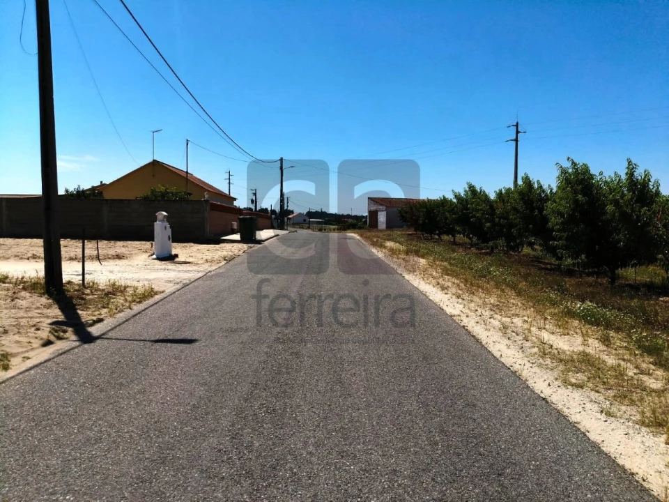 Terreno para Venda em Fazendas de Almeirim Foto 13