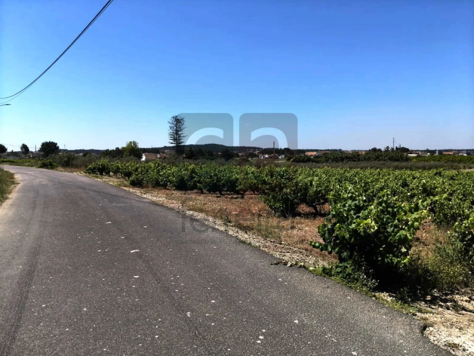 Terreno para Venda em Fazendas de Almeirim Foto 15