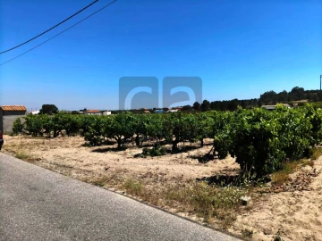Terreno para Venda em Fazendas de Almeirim
