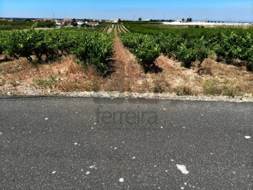 Terreno para Venda em Fazendas de Almeirim