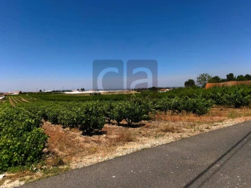 Terreno para Venda em Fazendas de Almeirim