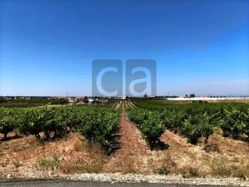 Terreno para Venda em Fazendas de Almeirim
