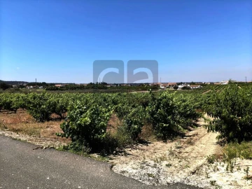 Terreno para Venda em Fazendas de Almeirim