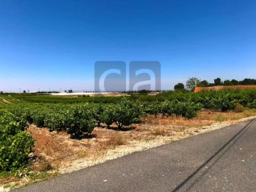 Terreno para Venda em Fazendas de Almeirim