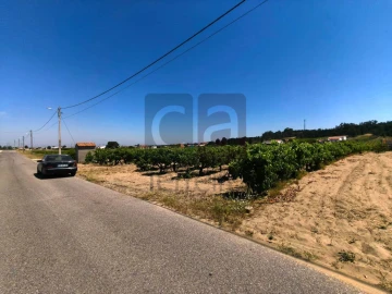 Terreno para Venda em Fazendas de Almeirim