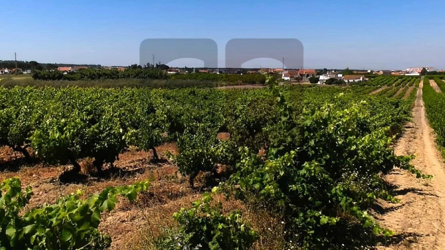 Terreno para Venda em Fazendas de Almeirim
