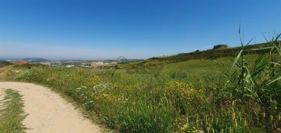 Terreno Agricola ou Rústico para Venda em Enxara do Bispo, Gradil e Vila Franca do Rosário