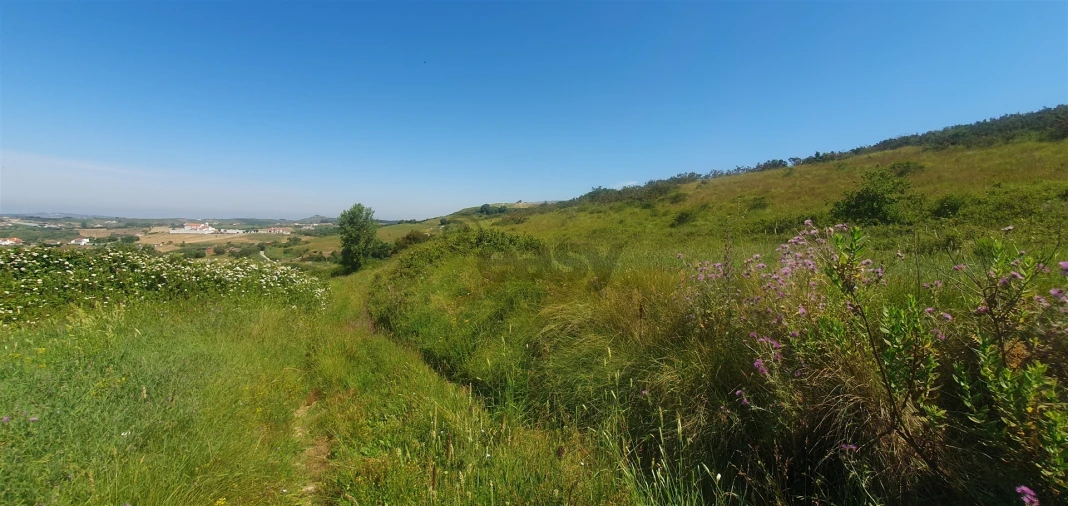 Terreno Agricola ou Rústico para Venda em Enxara do Bispo, Gradil e Vila Franca do Rosário Foto 5