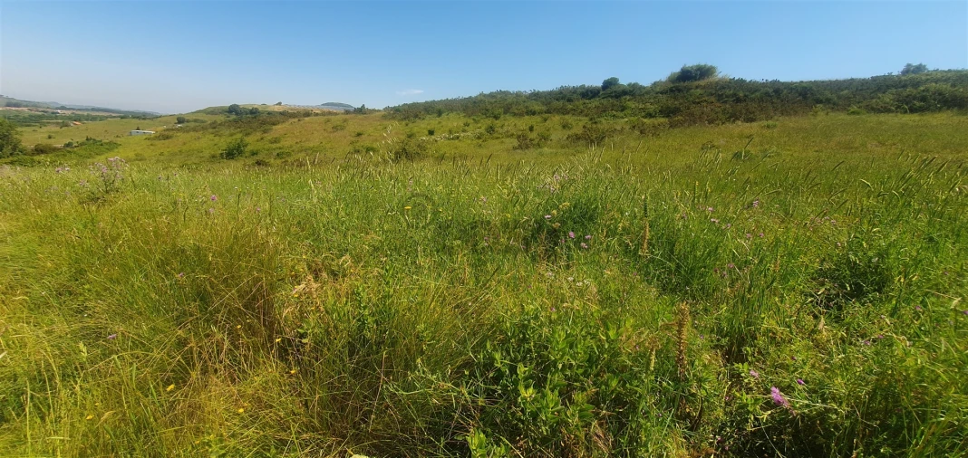 Terreno Agricola ou Rústico para Venda em Enxara do Bispo, Gradil e Vila Franca do Rosário Foto 8