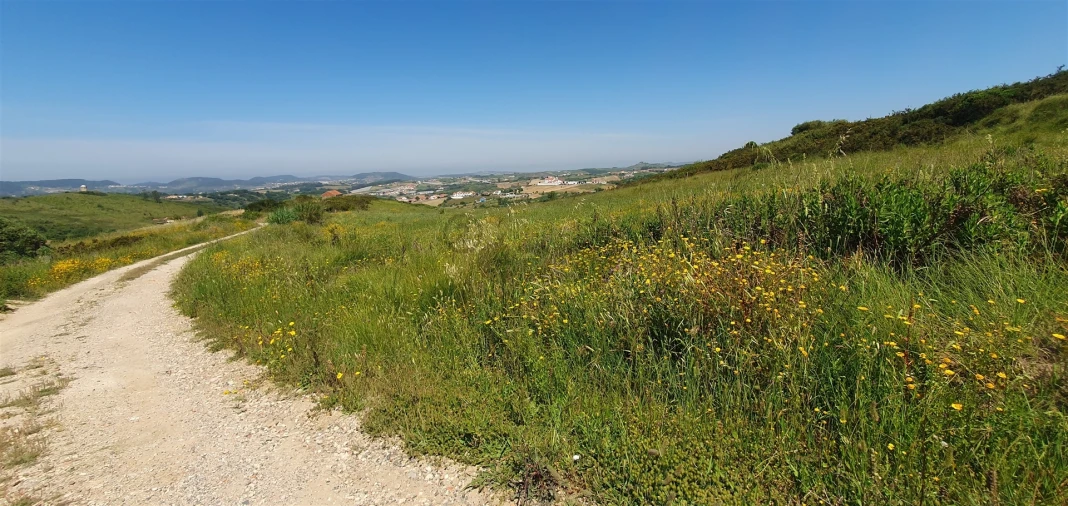 Terreno Agricola ou Rústico para Venda em Enxara do Bispo, Gradil e Vila Franca do Rosário Foto 3