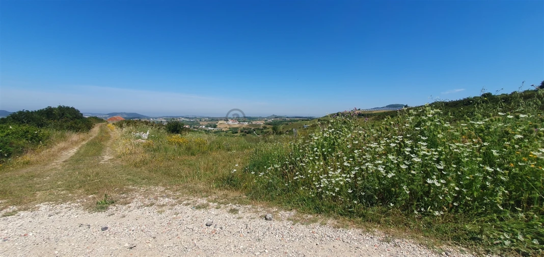 Terreno Agricola ou Rústico para Venda em Enxara do Bispo, Gradil e Vila Franca do Rosário Foto 2