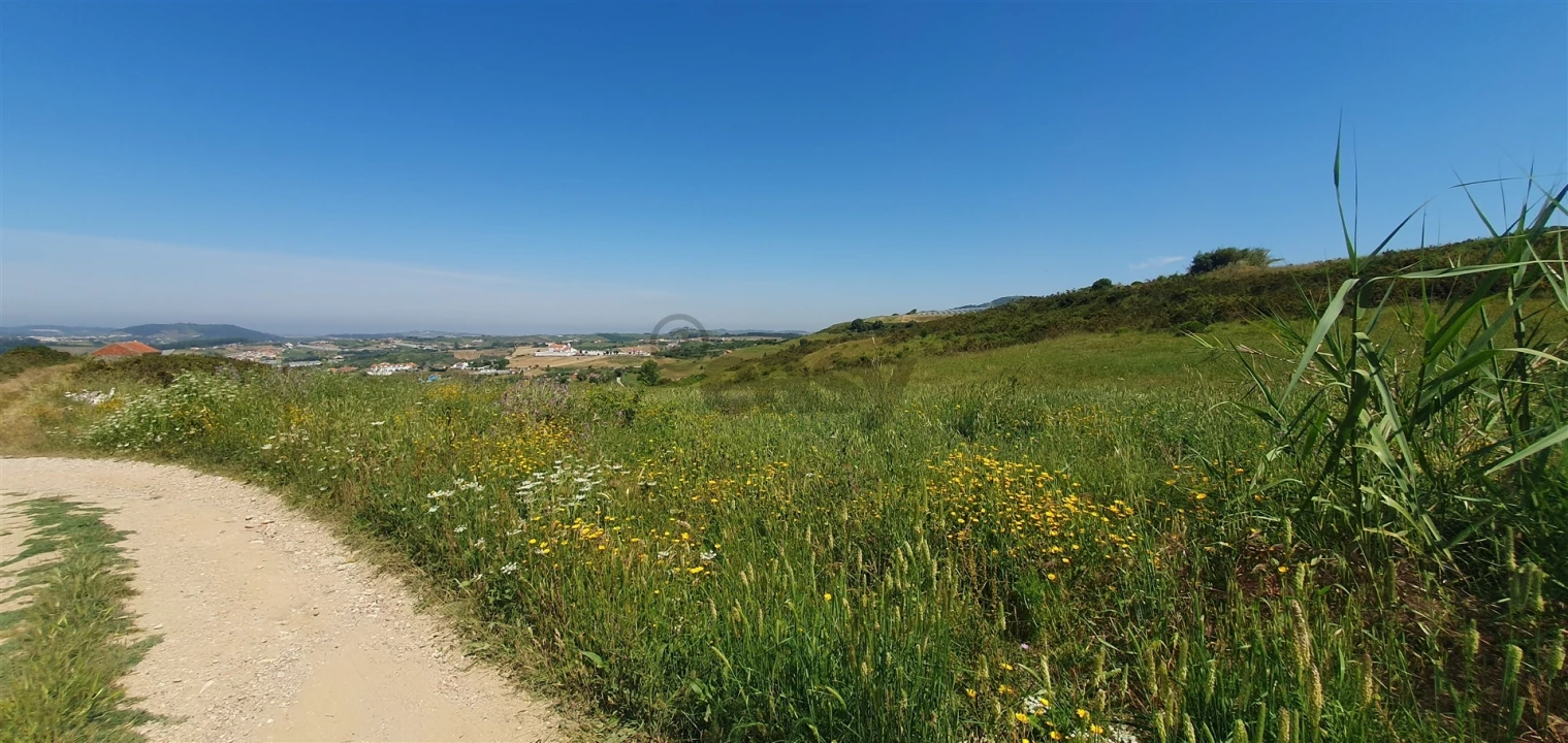Terreno Agricola ou Rústico para Venda em Enxara do Bispo, Gradil e Vila Franca do Rosário Foto 4