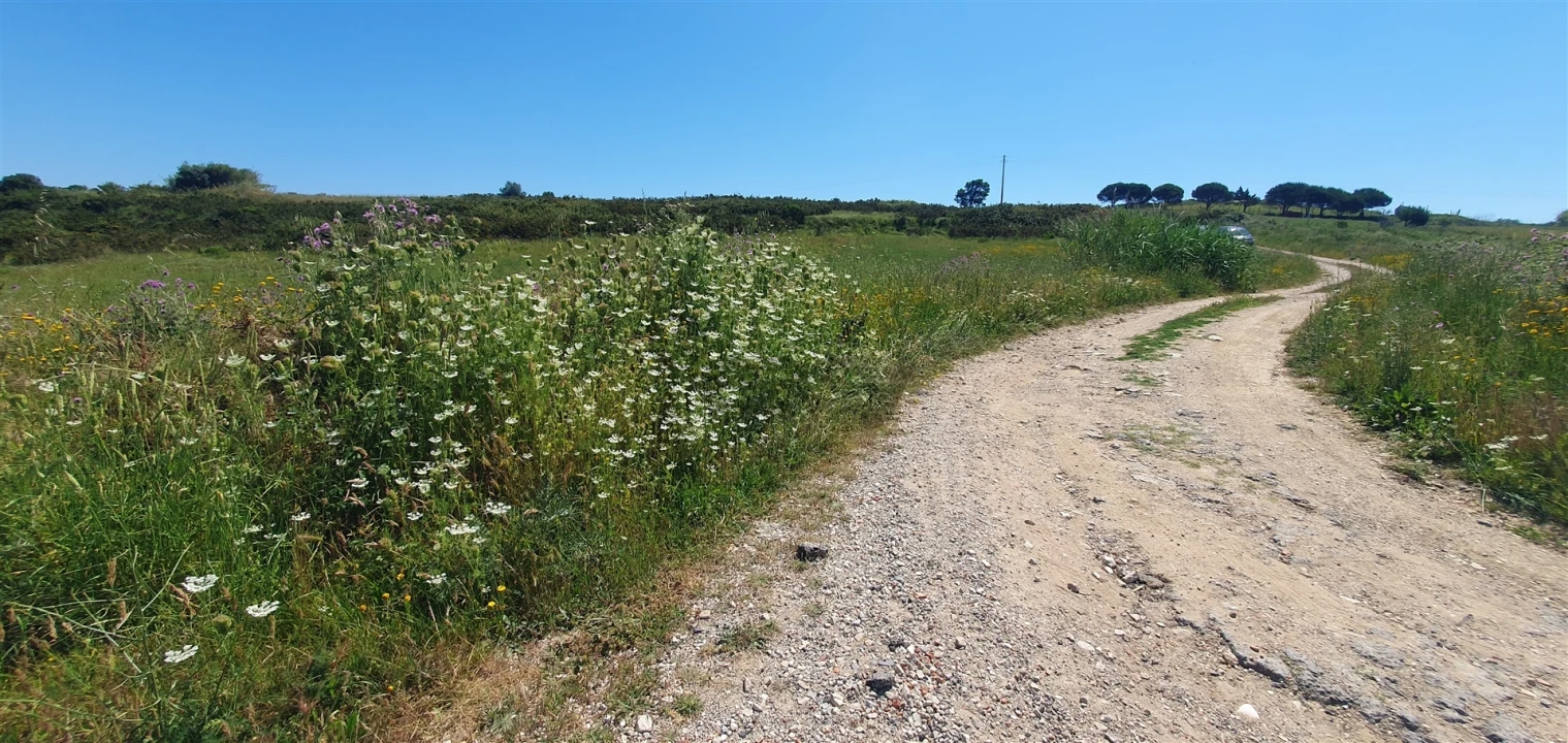 Terreno Agricola ou Rústico para Venda em Enxara do Bispo, Gradil e Vila Franca do Rosário Foto 1