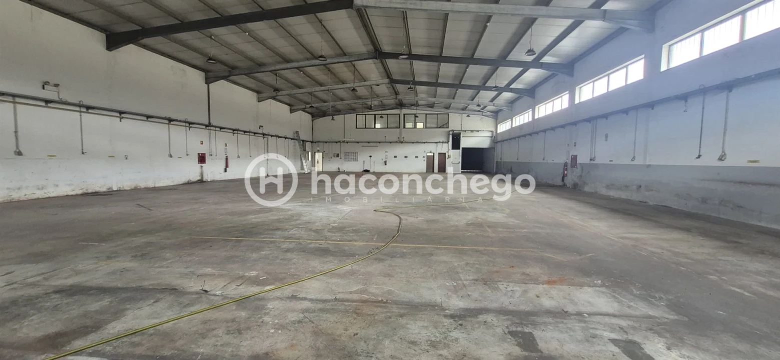 Armazém para Arrendamento em Pousa Foto 3