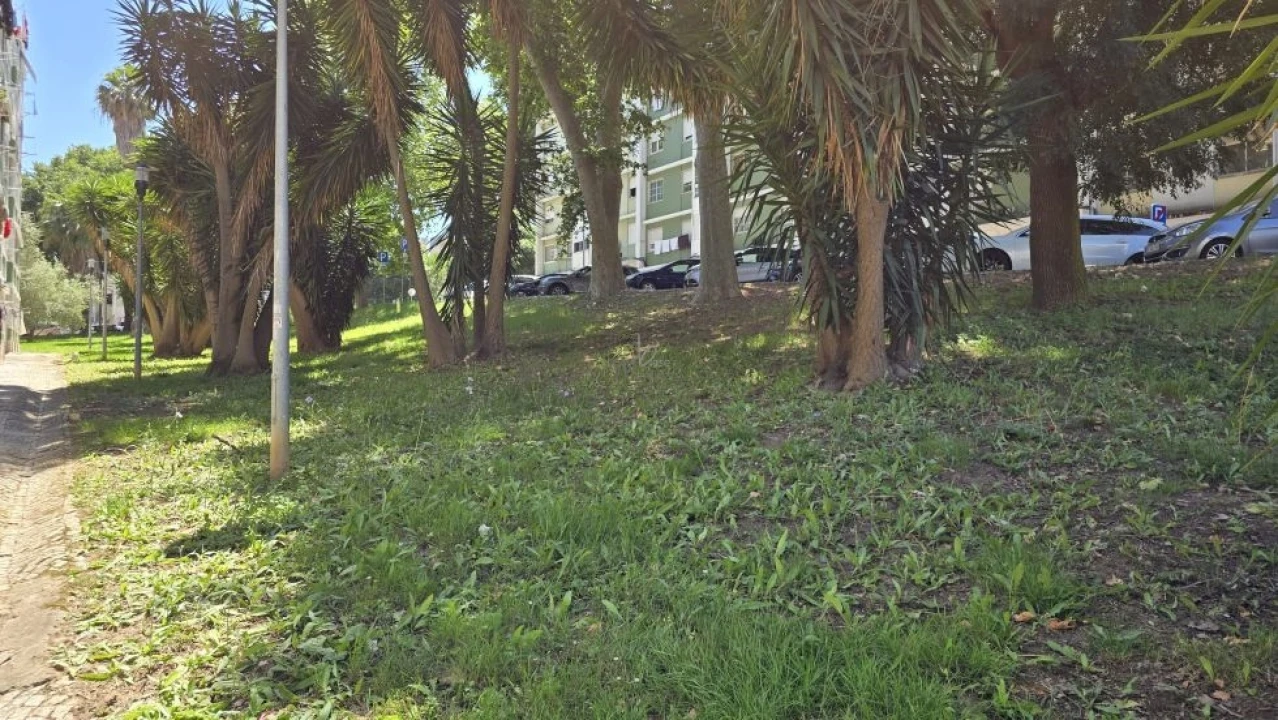 Apartamento T2 para Venda em Benfica Foto 23