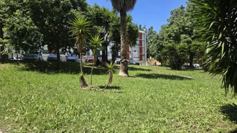Apartamento T2 para Venda em Benfica
