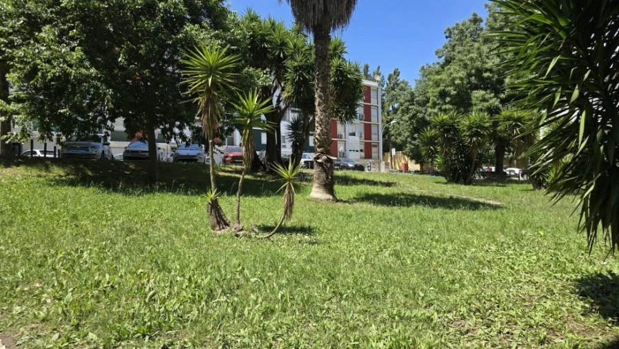Apartamento T2 para Venda em Benfica Foto 6