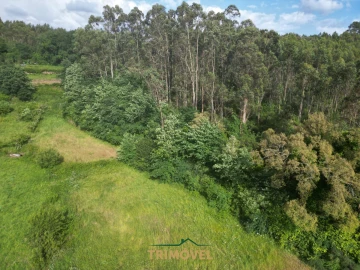 Terreno Agricola ou Rústico para Venda em Pinheiro da Bemposta, Travanca e Palmaz